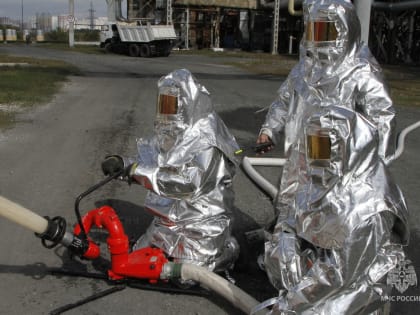 МЧС России развивает взаимодействие с Международной организацией гражданской обороны (МОГО)