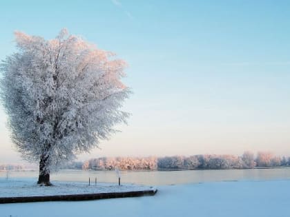 Народные приметы на 15 января – Сильвестров день, Куриный праздник, Серафим