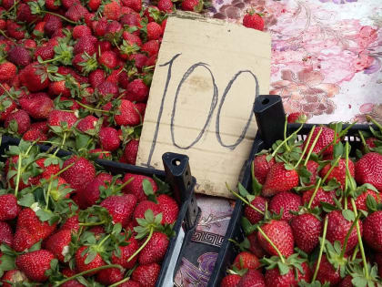 Почём нынче клубника в Ростове?