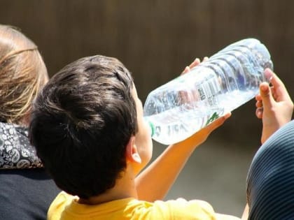 Аномальная жара ожидается в ближайшие сутки в Ростовской области