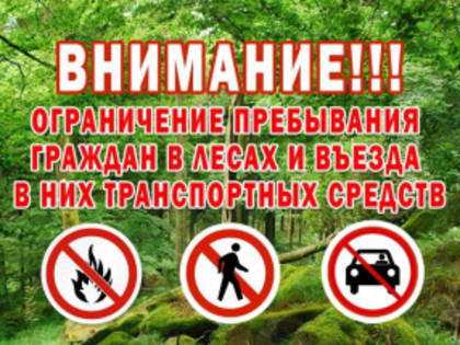 Режим ограничения пребывания в лесах!