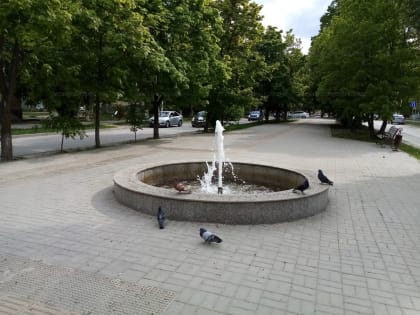 В Волгодонске анонсировали запуск городских фонтанов после 15 мая