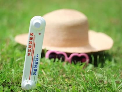 Жару до +36 градусов в тени обещают морозовчанам в субботу, 19 августа