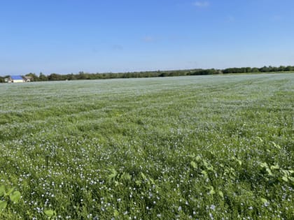 На выходных в Азовском районе  похолодает, пройдёт небольшой дождь