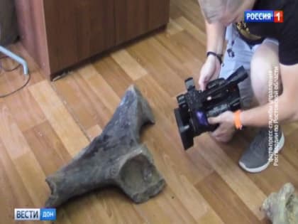 Найденная кость шерстистого мамонта станет экспонатом Азовского музея-заповедника