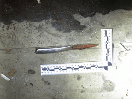 Жительницу ст.Мешковской осудят по обвинению в убийстве сожителя