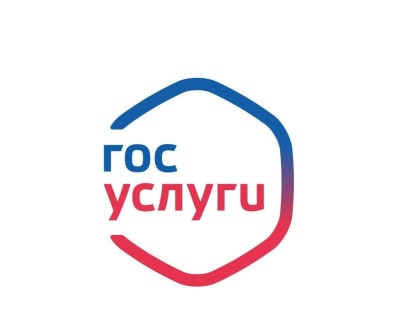 ДОНСКИЕ ВЫПУСКНИКИ ПОЛУЧИЛИ ВОЗМОЖНОСТЬ УЗНАВАТЬ РЕЗУЛЬТАТЫ ЕГЭ НА ПОРТАЛЕ ГОСУСЛУГ