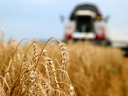 В Каменском районе стартовала уборочная страда