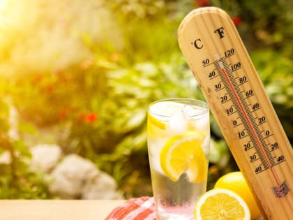 ГИДРОМЕТЦЕНТР: РОСТОВСКОЙ ОБЛАСТИ НЕ ГРОЗИТ ЖАРА ДО +50 °С