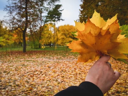 Синоптик Леус спрогнозировал в Ростовской области погоду на сентябрь теплее нормы
