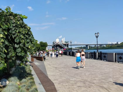 О “турецкой” жаре предупредили ростовчан