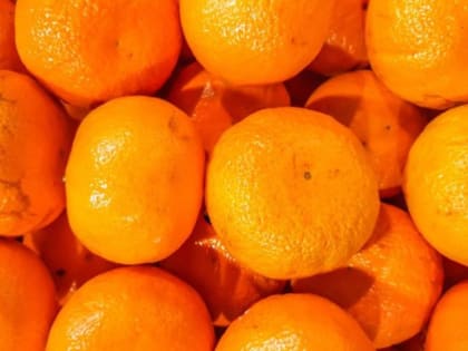 В Новороссийске найдены зараженные мандарины