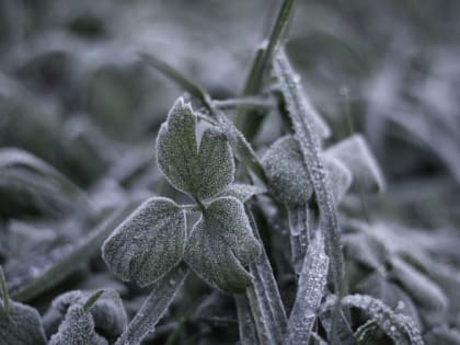 Холодный декабрь в Ростовской области