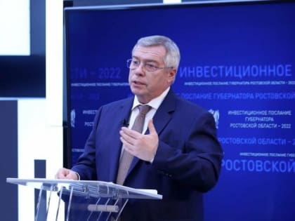 Губернатор Голубев заявил о проблемах с освоением старого аэропорта Ростова