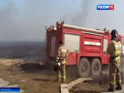 Выгорело 2,5 га: в Новочеркасске потушили ландшафтный пожар