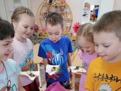СОЦИАЛИЗАЦИЯ ДОШКОЛЬНИКОВ: День огорода на подоконнике