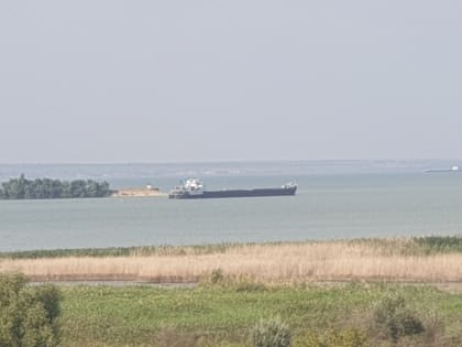 Более 90 тысяч тонн зерна вывезли из порта Волгодонска за месяц