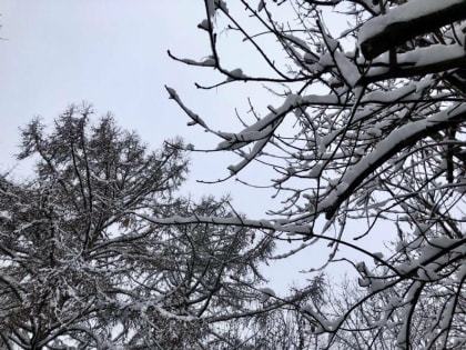 Штормовое предупреждение из-за аномальных морозов объявили в Ростовской области
