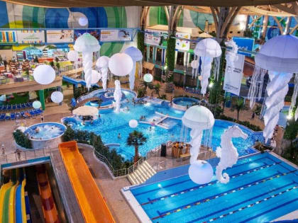 В ростовском аквапарке H2O пояснили суть инцидента 4 января