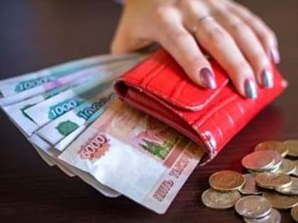 Донские предприятия увеличили зарплаты работников на 8,6%