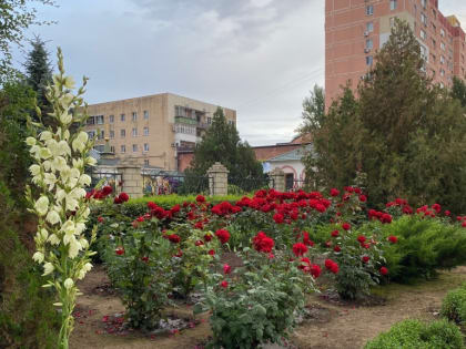 Небольшой дождь прогнозируют синоптики в Волгодонске в середине дня
