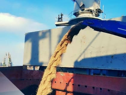 Зерновому терминалу из Азова удалось в 7 раз снизить сумму иска за загрязнение Дона