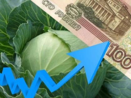 Сентябрьские цены: как подорожание затронет семейный бюджет