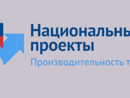 Донской регион в лидерах рейтинга национального проекта «Производительность труда»