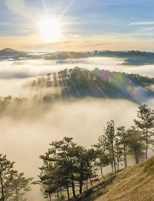 Explore the Untamed Beauty: Ta Dung - Da Lat - Vinh Hy 4 Days 3 Nights Tour 2