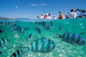 Honda Bay Island Hopping Day Tour at Puerto Princesa 2