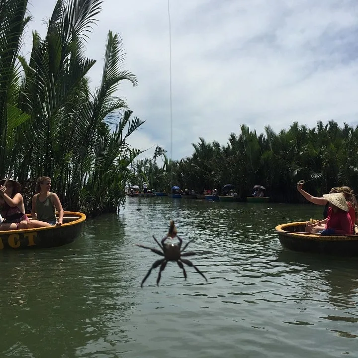 Coconut Forest Basket Boat - Enjoy The Basket Boat Rides 2