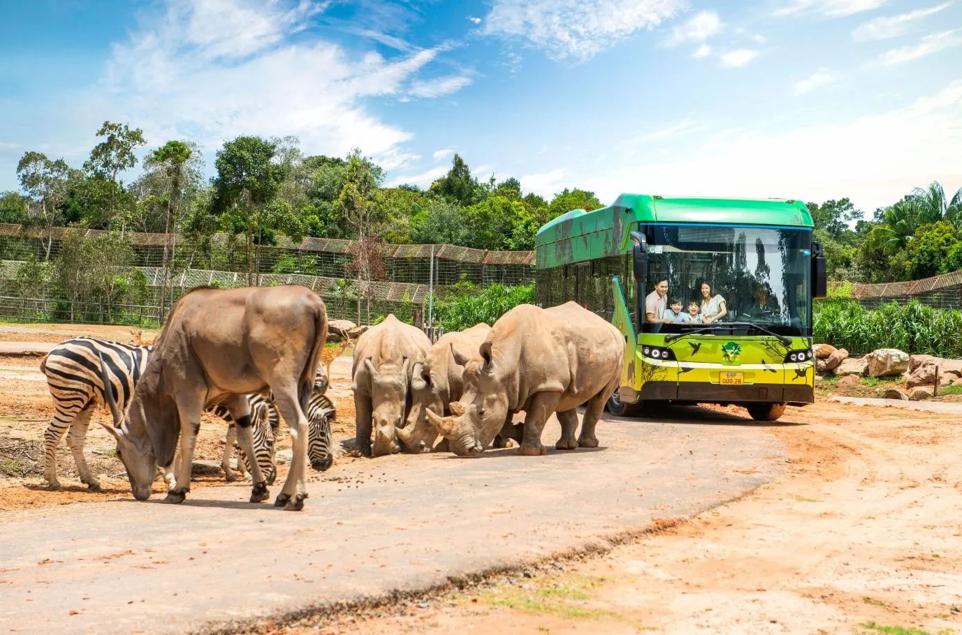 Vinpearl Safari Phu Quoc Zoo Tickets image
