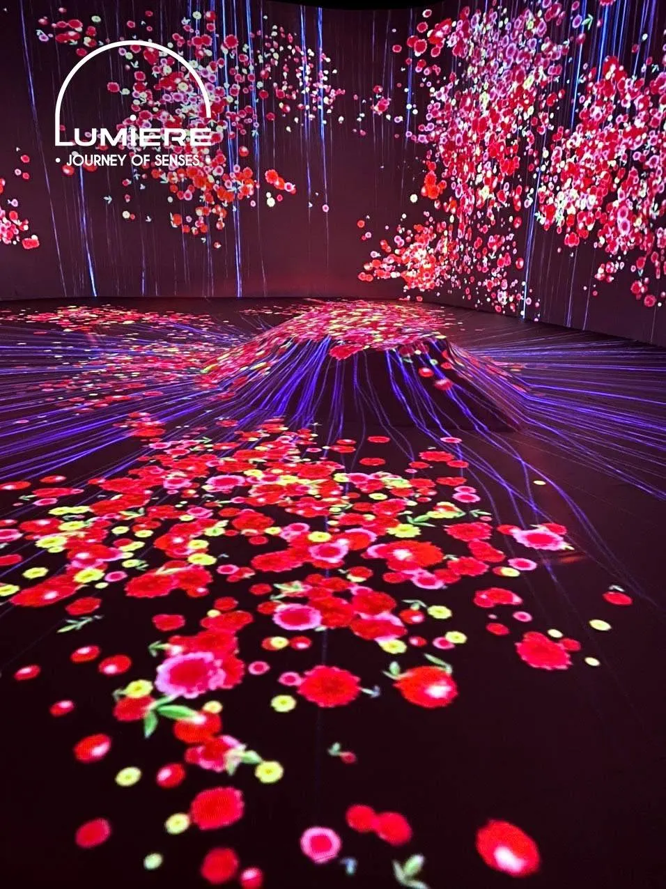Lumiere Da Lat - Light Garden Ticket 2
