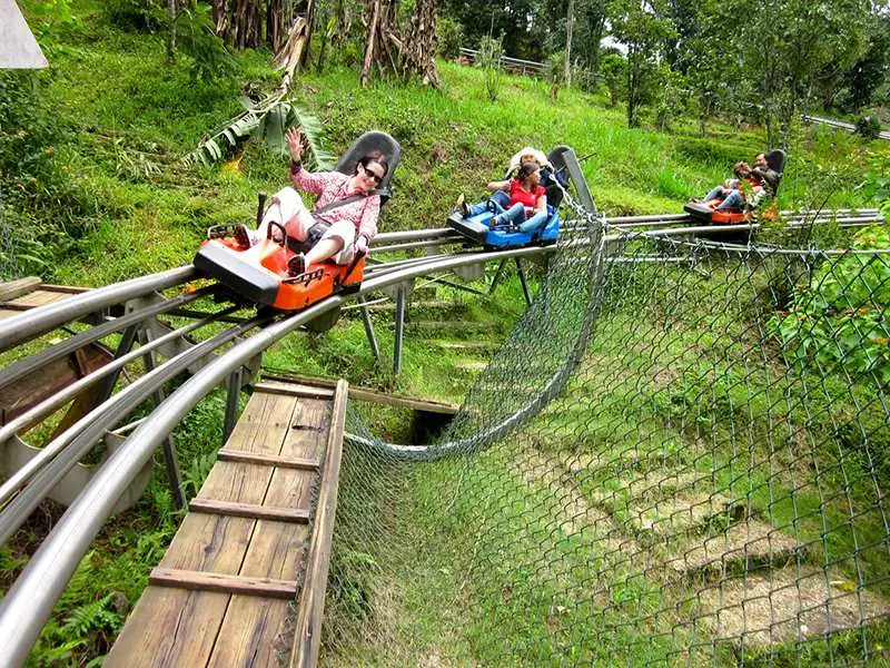 Datanla New Alpine Coaster Experience in Da Lat image
