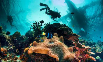 Experience a Scuba Diving in Boracay image