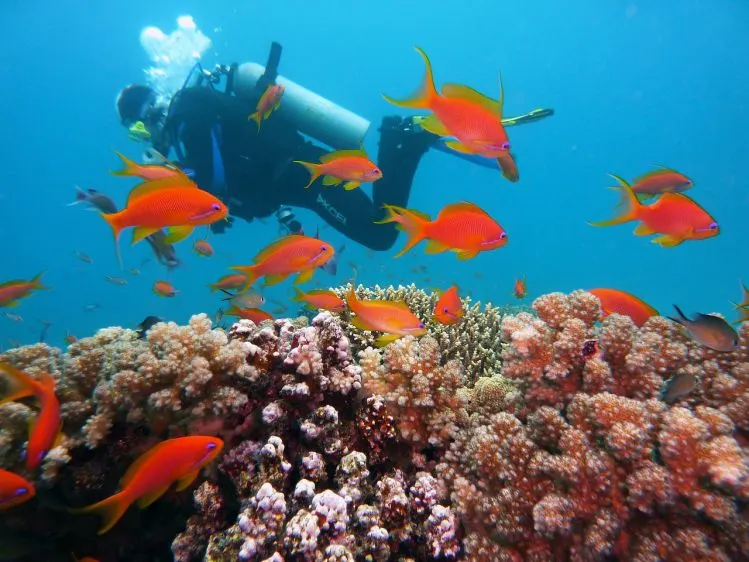 Experience a Scuba Diving in Boracay 3