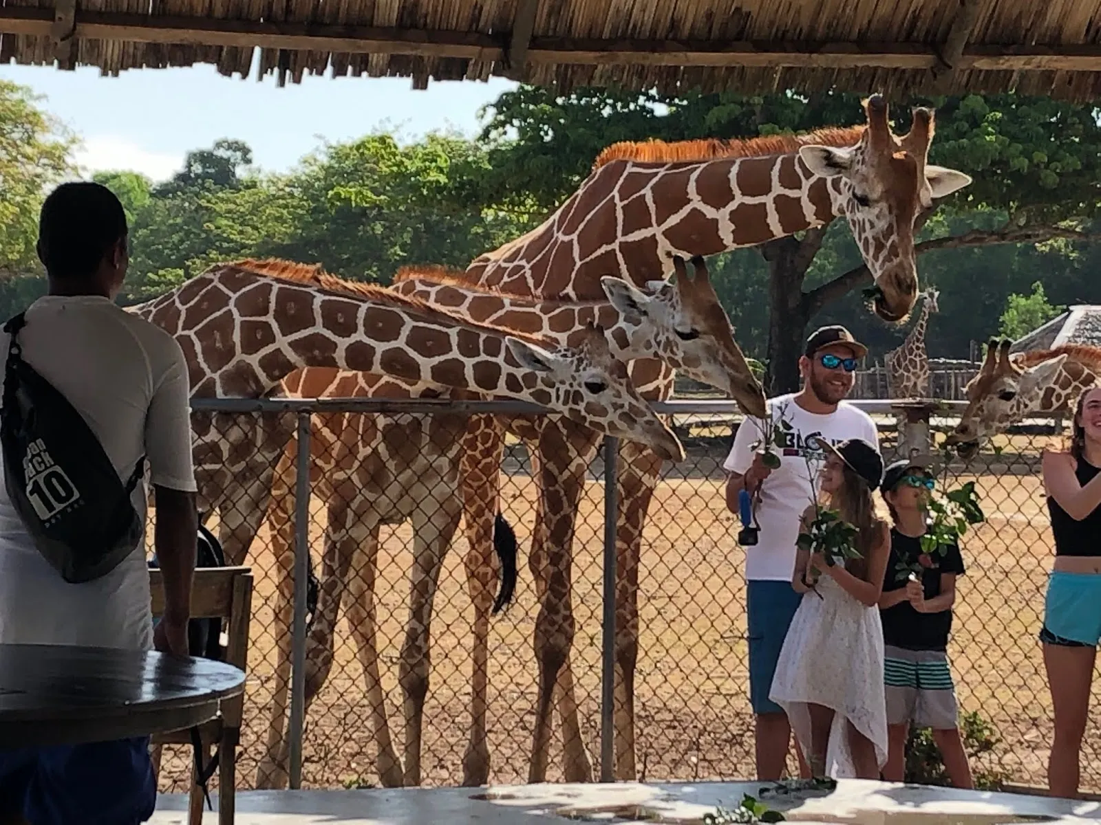 Coron Palawan Calauit Safari Wildlife Adventure 2