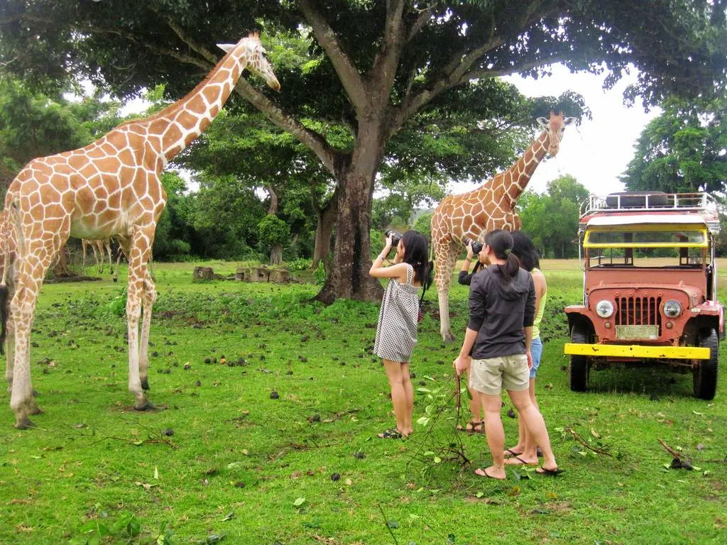 Coron Palawan Calauit Safari Wildlife Adventure 4