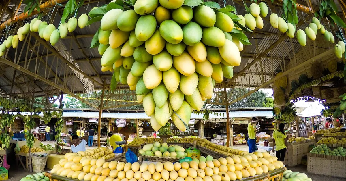 Mango Capital of the Philippines - Guimaras Land Day Tour (Shared Tour) 4