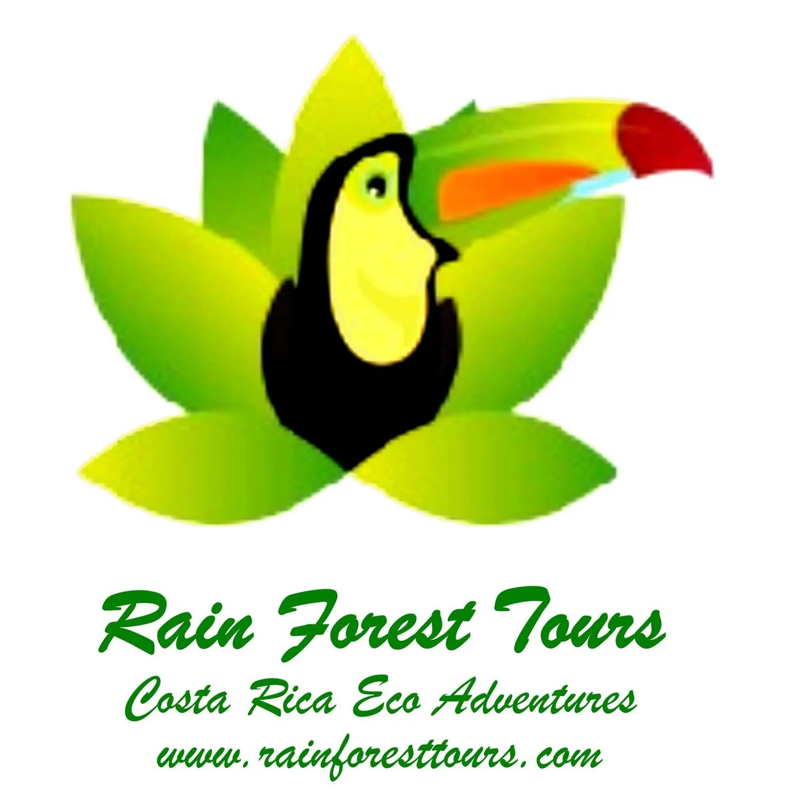 Rainforest Tours Costa Rica 