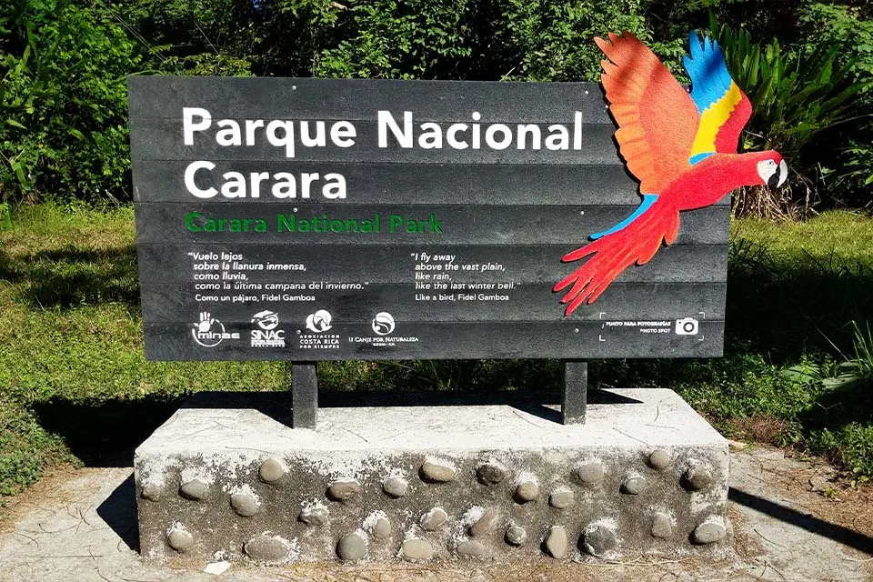 Carara National Park Tour: A Birdwatcher's Paradise in Costa Rica 2