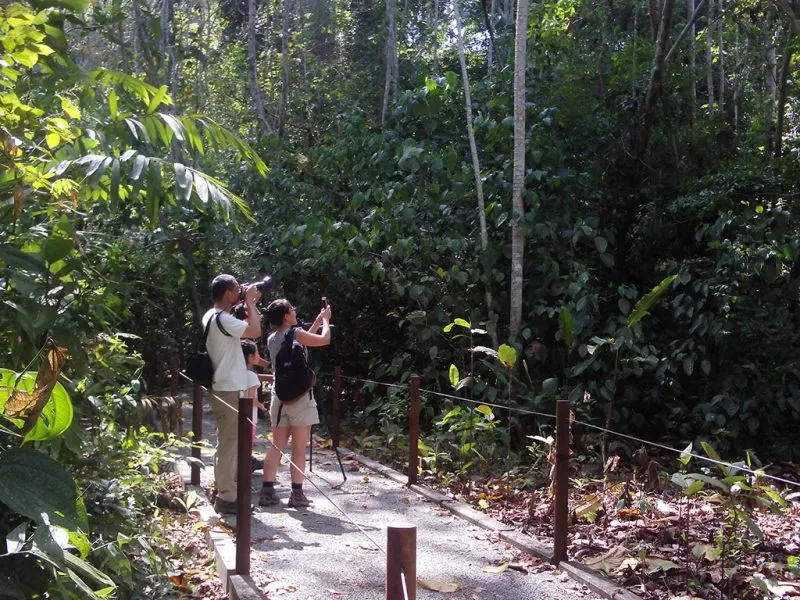 Carara National Park Tour: A Birdwatcher's Paradise in Costa Rica 4