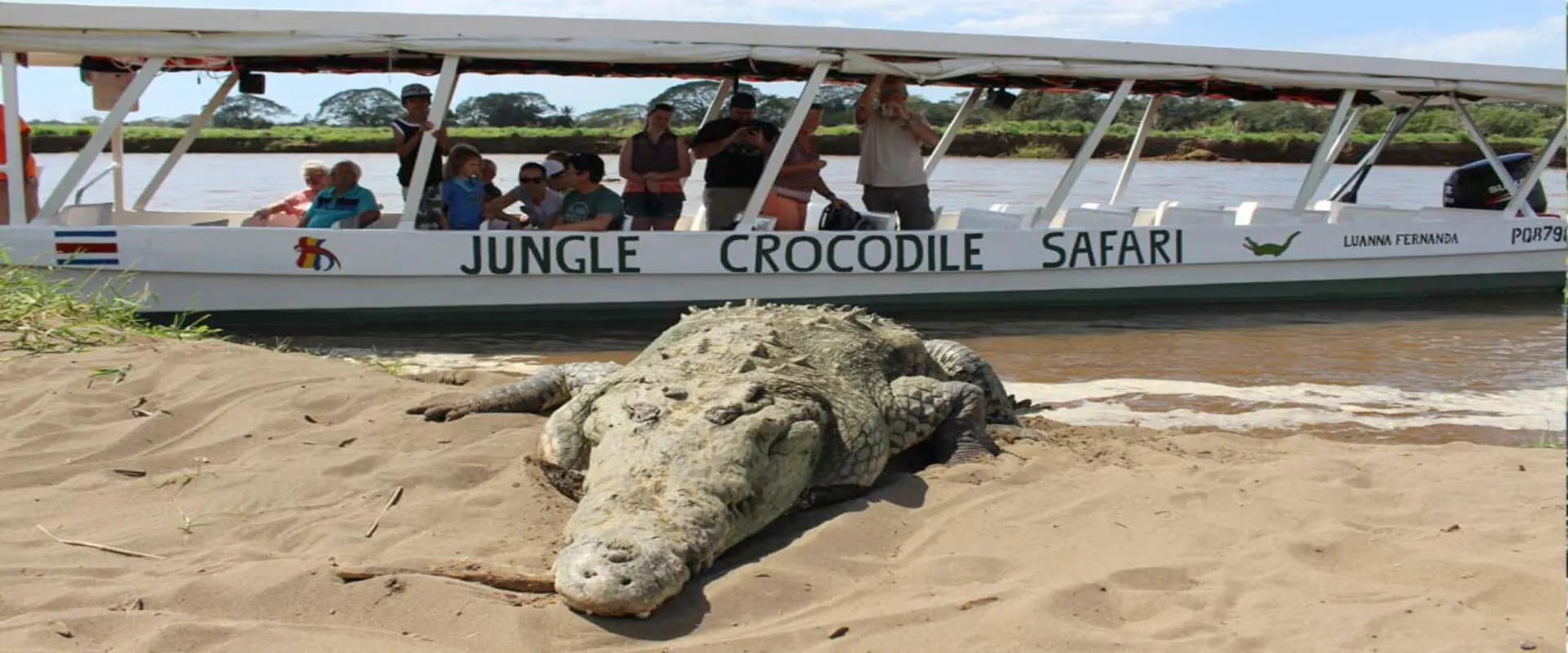 Tarcoles River Jungle Crocodile Safari Tour  4