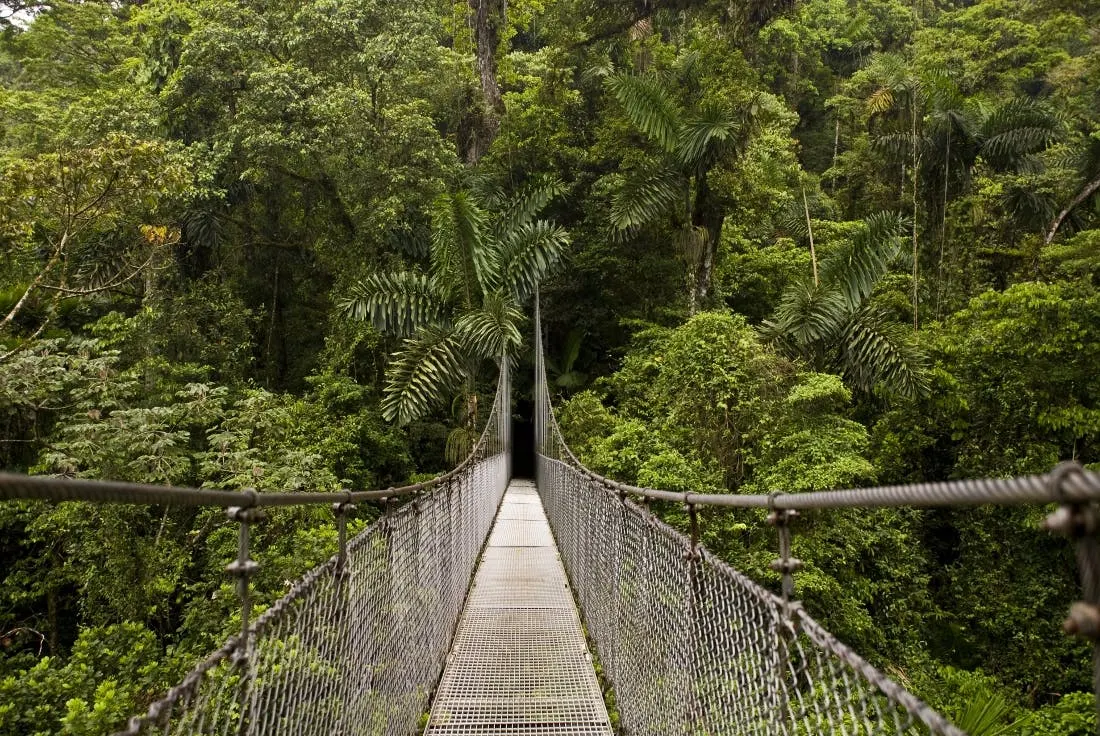 Mistico Hanging Bridges + La Fortuna Waterfalls Tour image