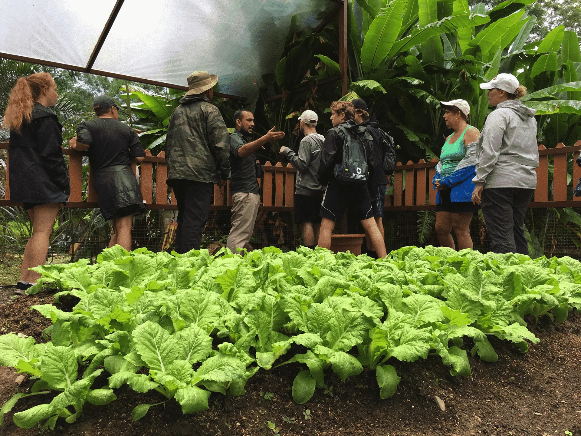 Local Flavor Tour Experience in Manuel Antonio 3