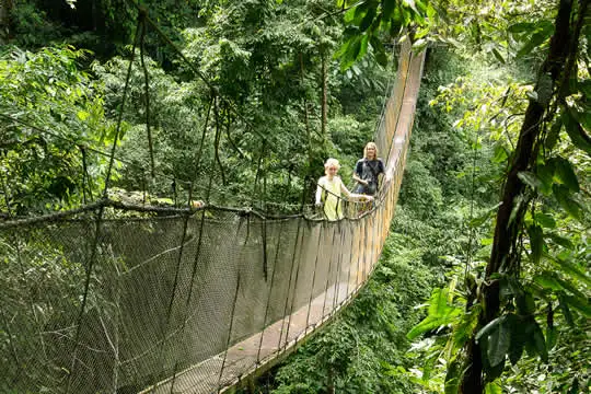 Rainmaker Park Tour | Hanging Bridges & Waterfalls in Manuel Antonio image