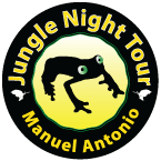 Jungle Night Tour Manuel Antonio