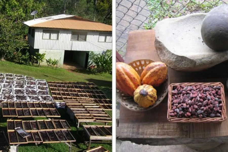 Villa Vanilla Spice Farm Tour in Manuel Antonio 3