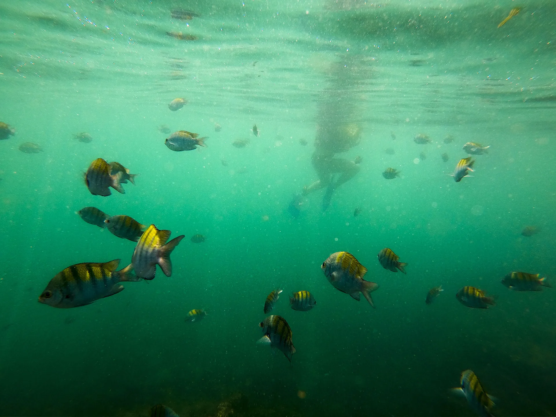 Quepos Ocean Kayak and Snorkeling 4