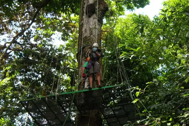 Titi Canopy Tour in Manuel Antonio 3